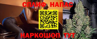 mdpv Дубна