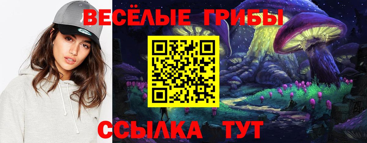 Галлюциногенные грибы Psilocybe Карабулак