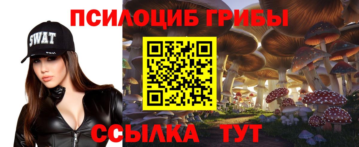 Галлюциногенные грибы ЛСД  Вход с VPN  Карабулак  Галлюциногенные грибы мицелий 
