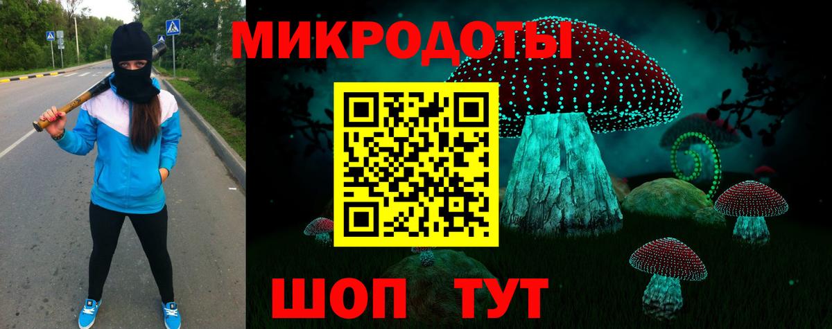Галлюциногенные грибы прущие грибы  как найти   Карабулак 